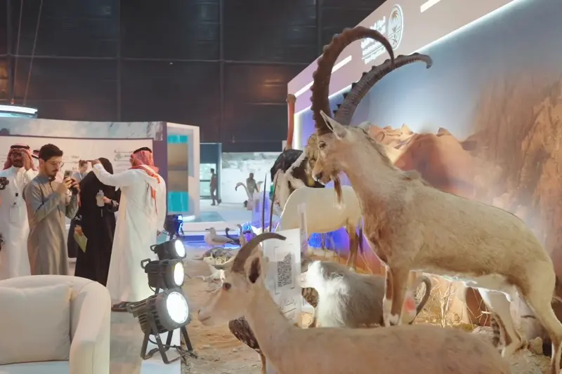 أسبوع البيئة