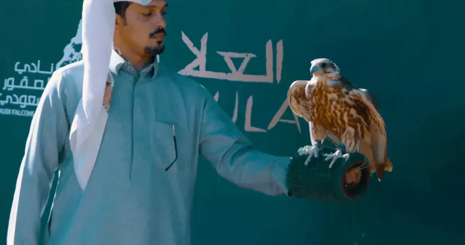 كأس العُلا للصقور، لقطة 2