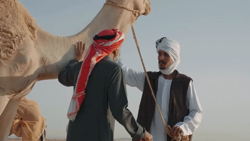بخاري، لقطة 2